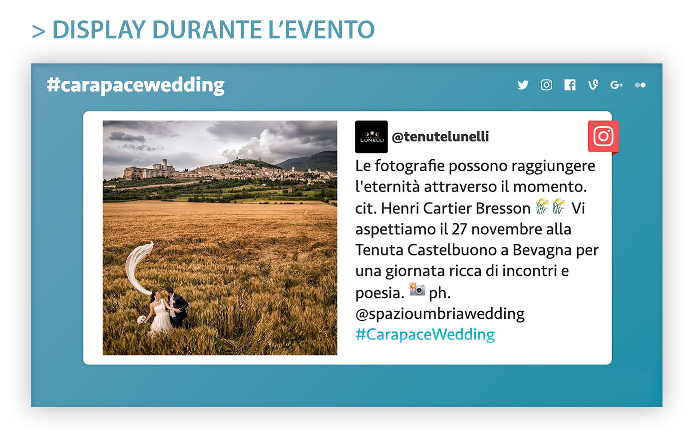 carapacewedding hashtag